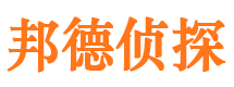 和林格尔侦探公司